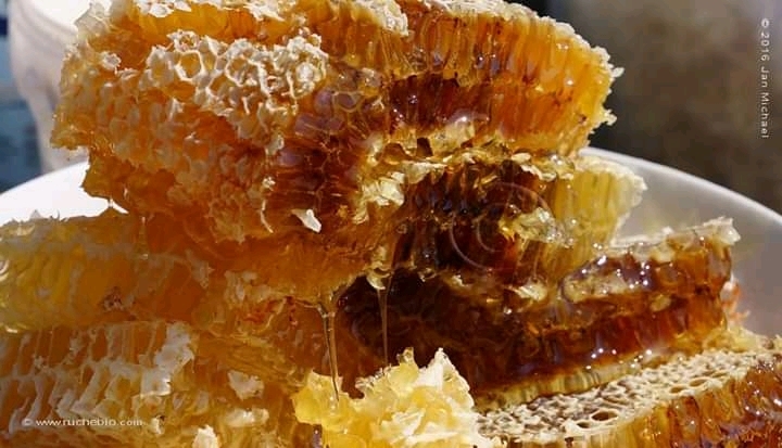 L'apiculture mois par mois